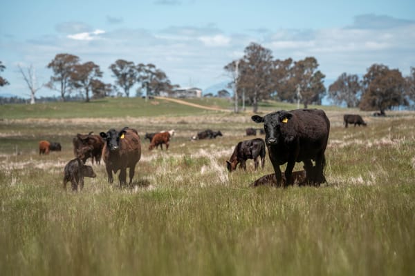 Daily Update 9 April 2026